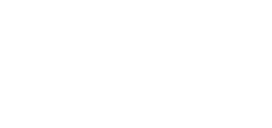 Logo Klienta Laser Garage