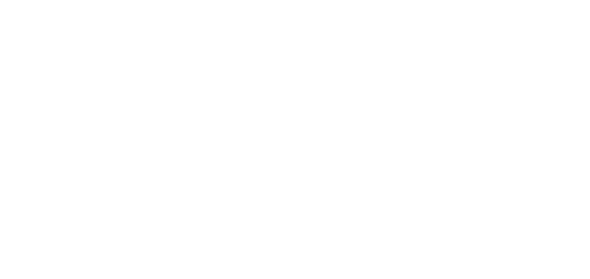 Logo Klienta Wrona Serwis